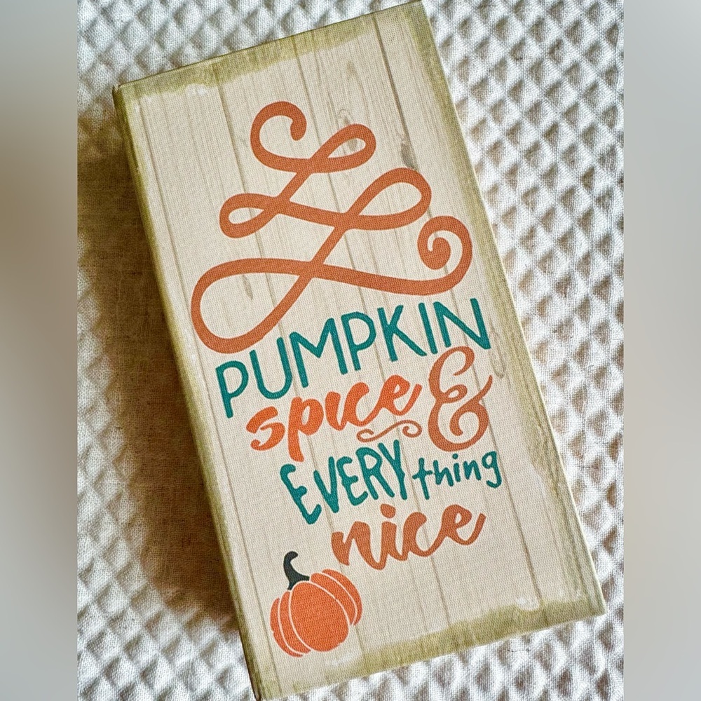 New Autumn Halloween PUMPKIN SPICE & EVERYTHING NICE Secret Stash Book Box